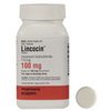 canada-pharmacy-365-Lincocin canada-pharmacy-365-Lincocin